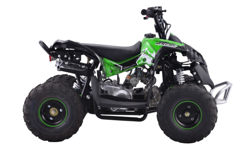 Квадроцикл Yacota RENEGADE mini 110 Квадроцикл Yacota RENEGADE mini 110