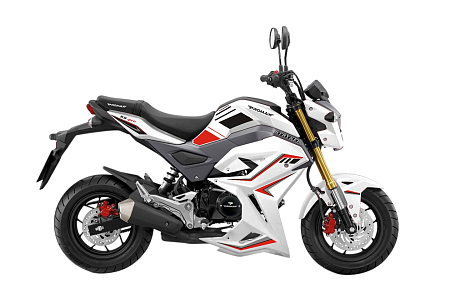 Мотоцикл PROMAX STRYKER 200 OFF-ROAD